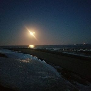 Meet your Posher, Dennis